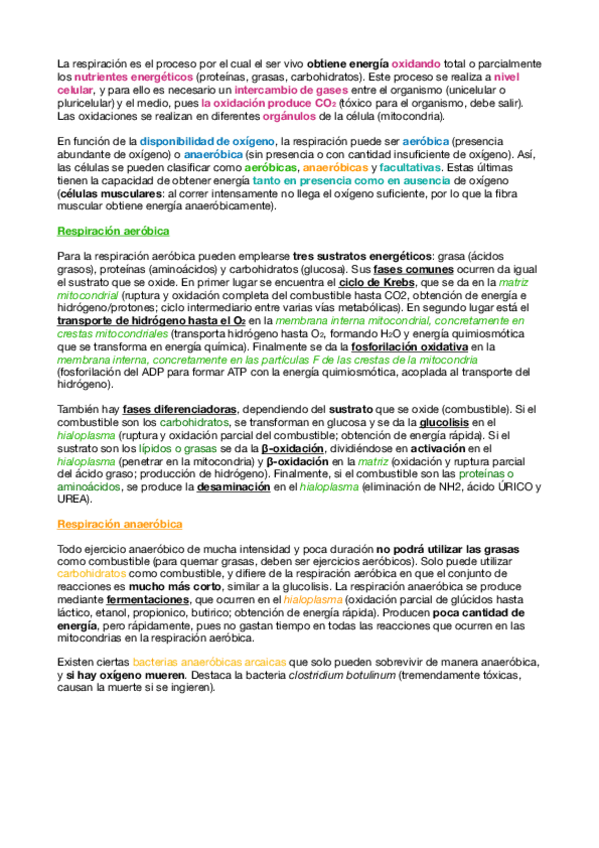 Miniatura del documento 3. RESPIRACIÓN.pdf