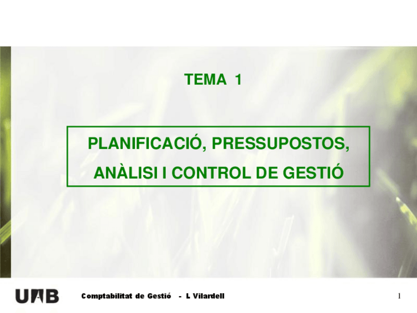 Miniatura del documento Tema-1-2019-IMMA.pdf