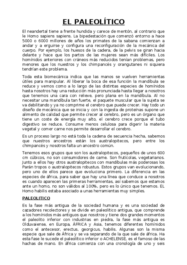 Miniatura del documento Introduccion-El-paleolitico.docx