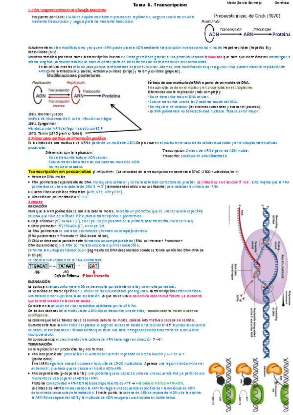 Miniatura del documento T6-transcripcio.pdf
