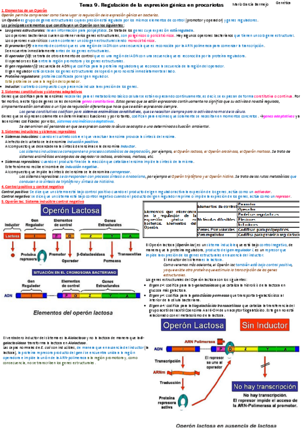 Miniatura del documento T9-Regulacion-de-la-expresion-genica-en-procariotas.pdf