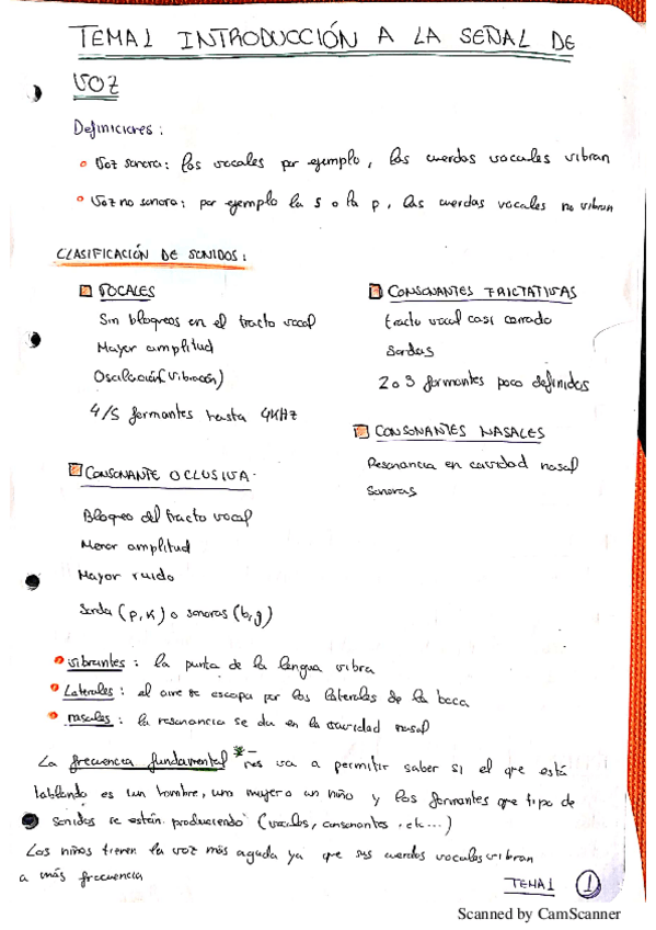 Miniatura del documento Apuntes-Voz.pdf
