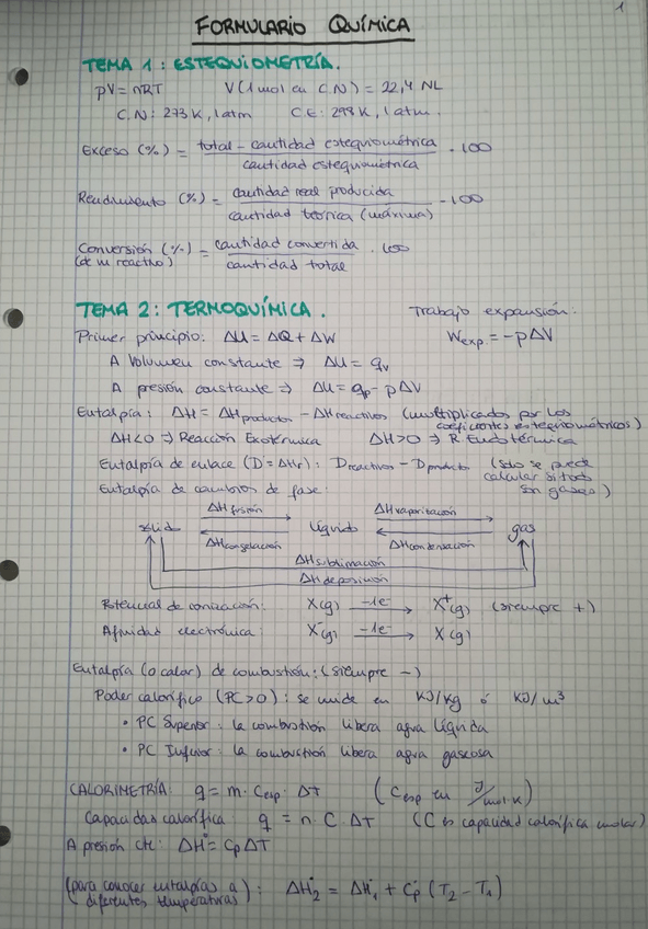 Miniatura del documento resumen.pdf