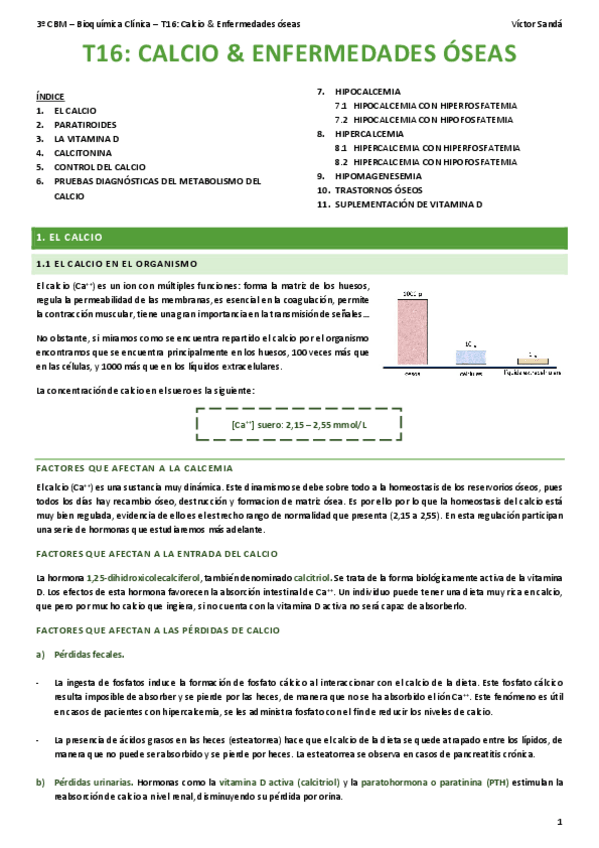 Miniatura del documento BQ-T16-Calcio-y-enfermedades-oseas.pdf