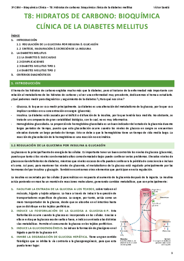 Miniatura del documento BQ-T8-Hidratos-de-carbono-Diabetes.pdf