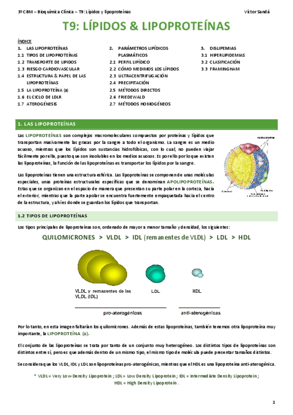 Miniatura del documento BQ-T9-Lipidos.pdf