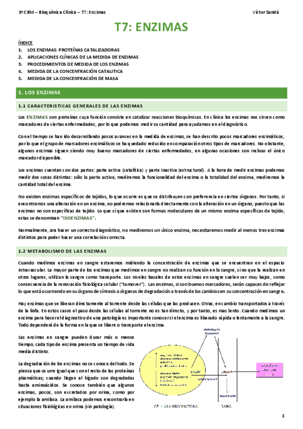 Miniatura del documento BQ-T7-Enzimas.pdf