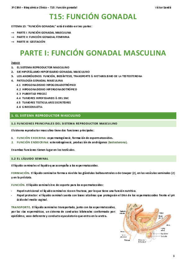 Miniatura del documento BQ-T15-Funcion-gonadal.pdf