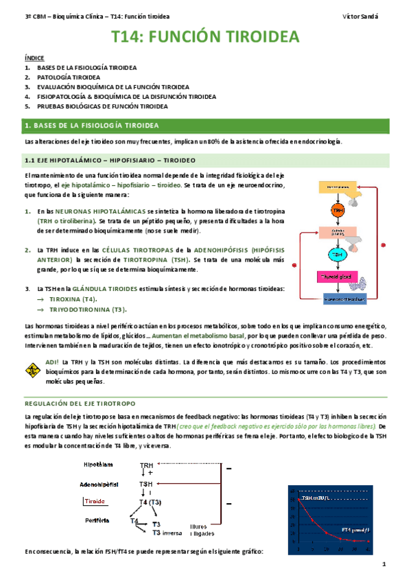 Miniatura del documento BQ-T14-Funcion-tiroidea.pdf