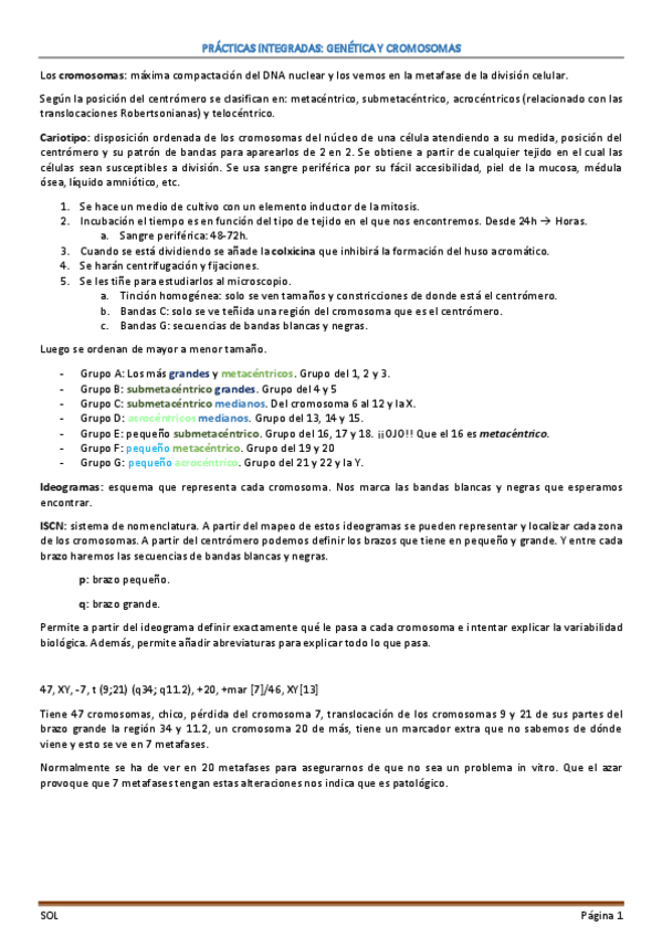 Miniatura del documento PRACTICAS-CARIOTIPOS.pdf