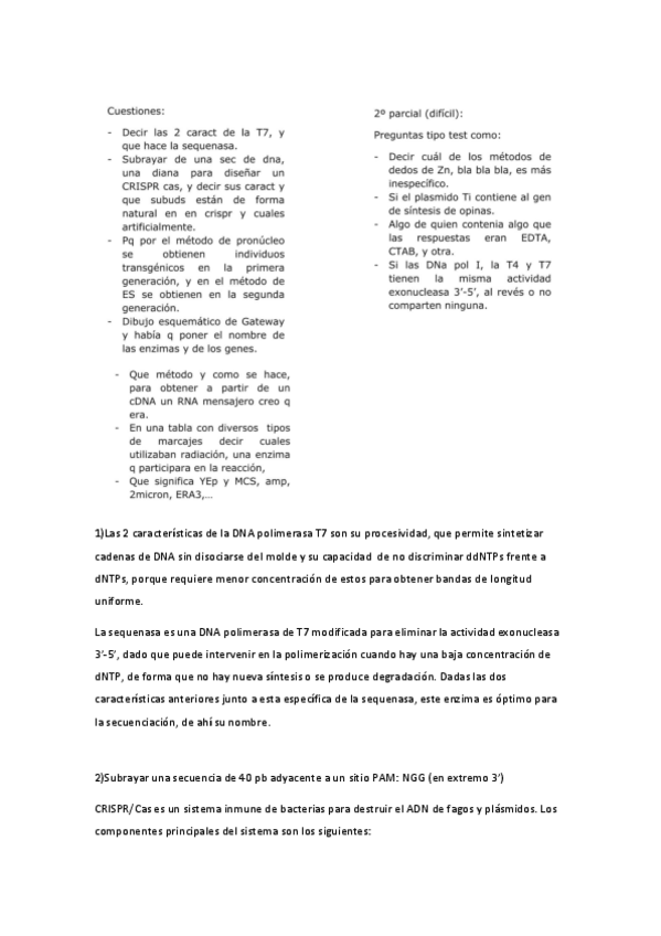 Miniatura del documento examen-ingenieria-geneticaA.pdf