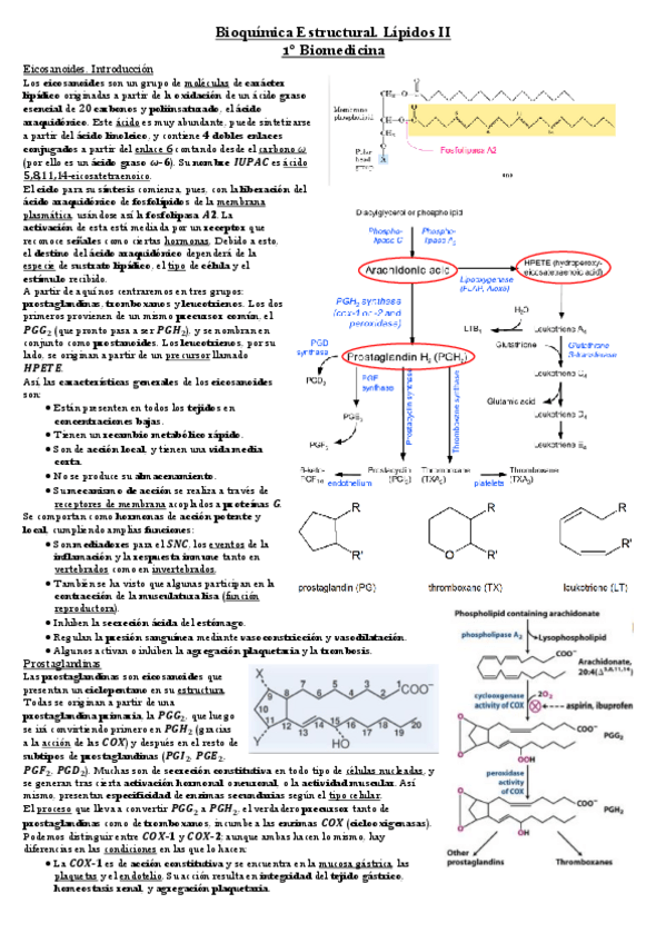 Miniatura del documento Lipidos-2.pdf