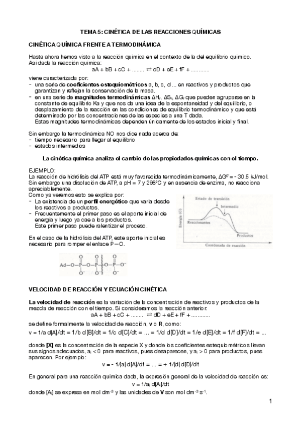 Miniatura del documento T5-Cinetica-de-las-reacciones-quimicas.pdf
