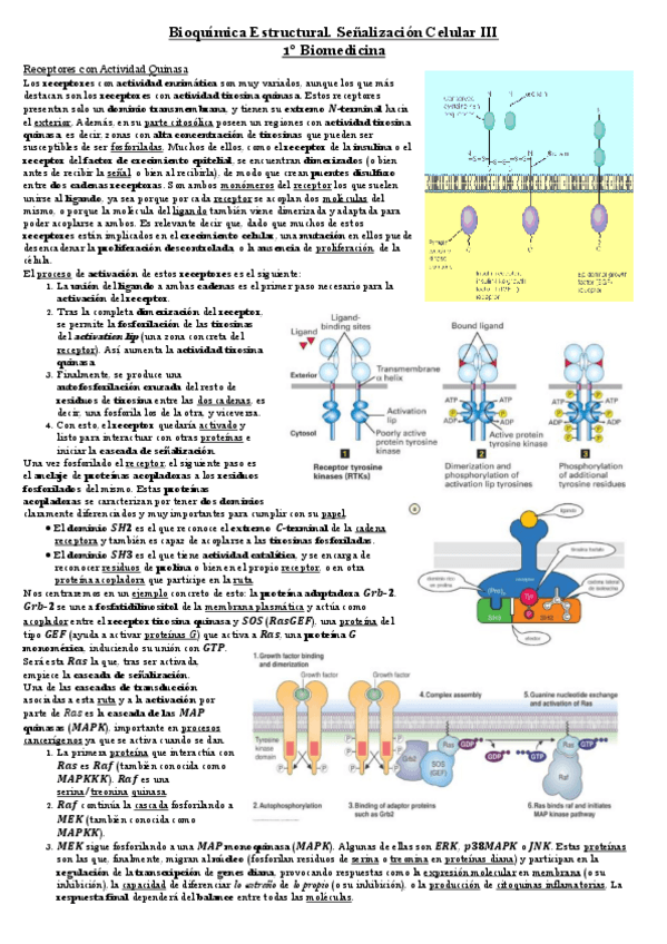 Miniatura del documento Senalizacion-3.pdf