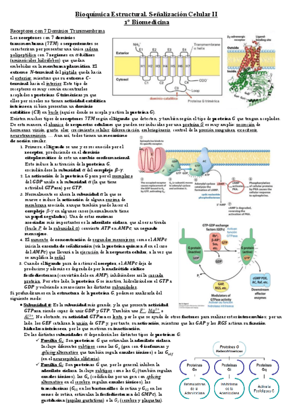 Miniatura del documento Senalizacion-2.pdf