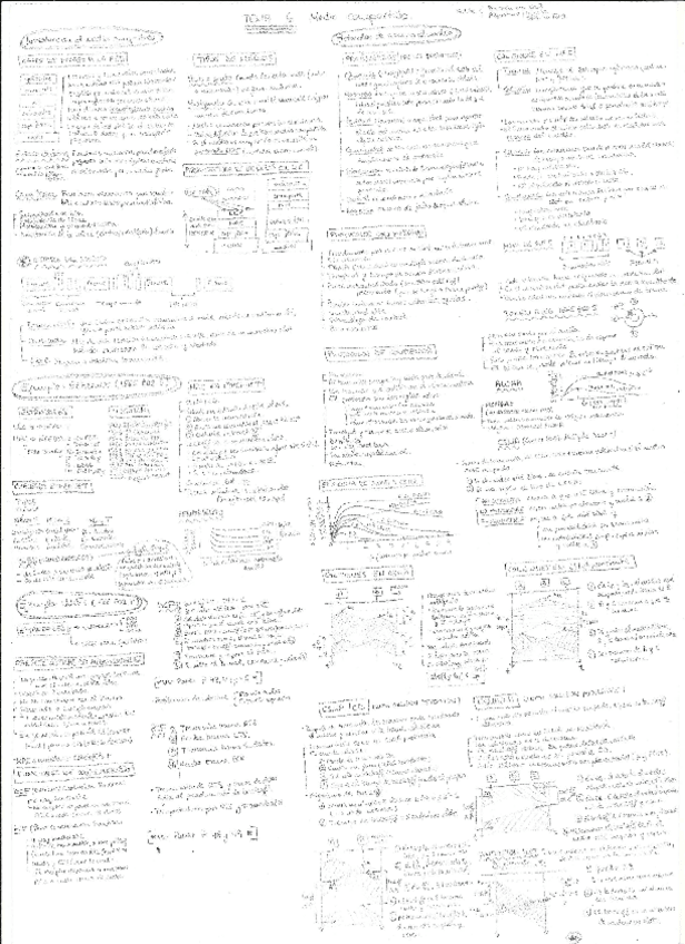 Miniatura del documento TEMA-6.pdf