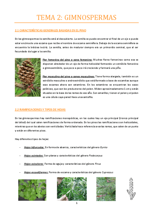 Miniatura del documento TEMA-2.pdf