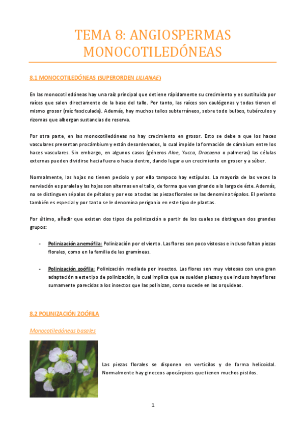 Miniatura del documento TEMA-8.pdf