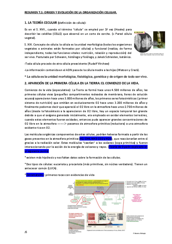 Miniatura del documento RESUMENT1ORIGENEVOLUCIONCELULAR.pdf