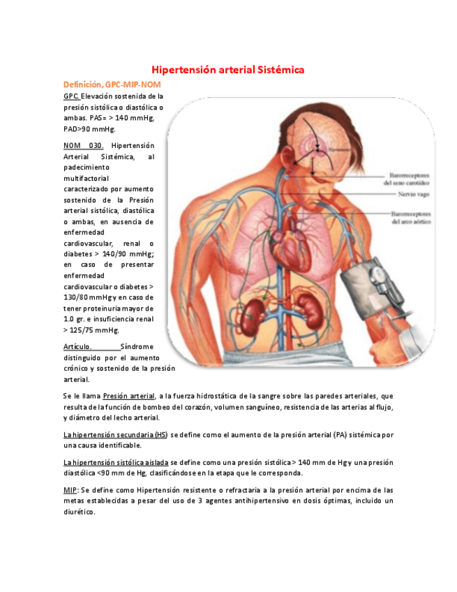 Miniatura del documento 1-Hipertension-arterial-Sistemica-02-06-19.pdf