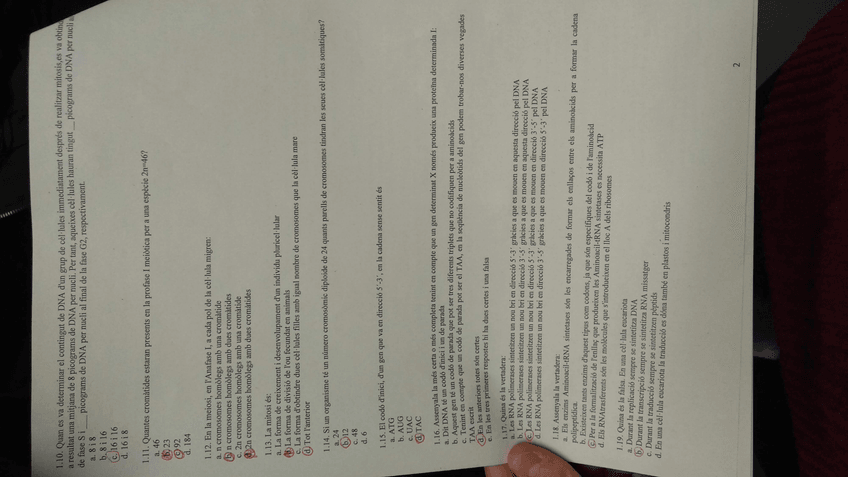 Miniatura del documento 2.jpg