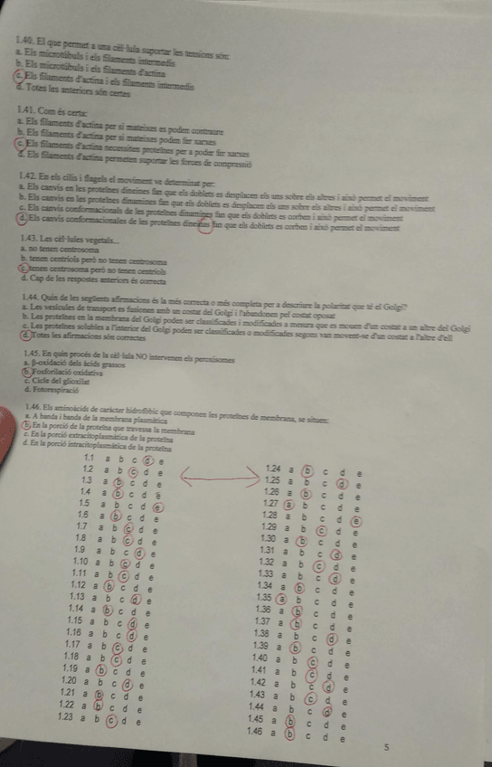 Miniatura del documento 5.jpg