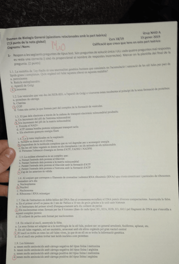 Miniatura del documento 1.jpg