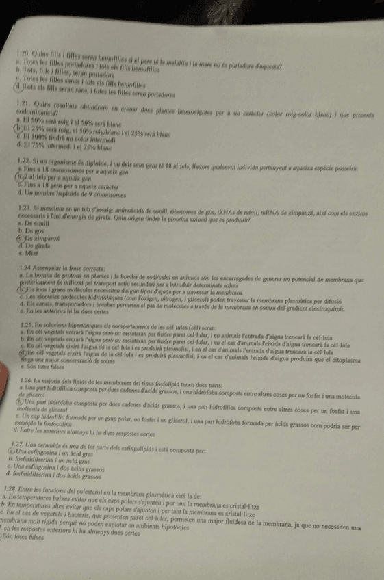 Miniatura del documento 3.jpg