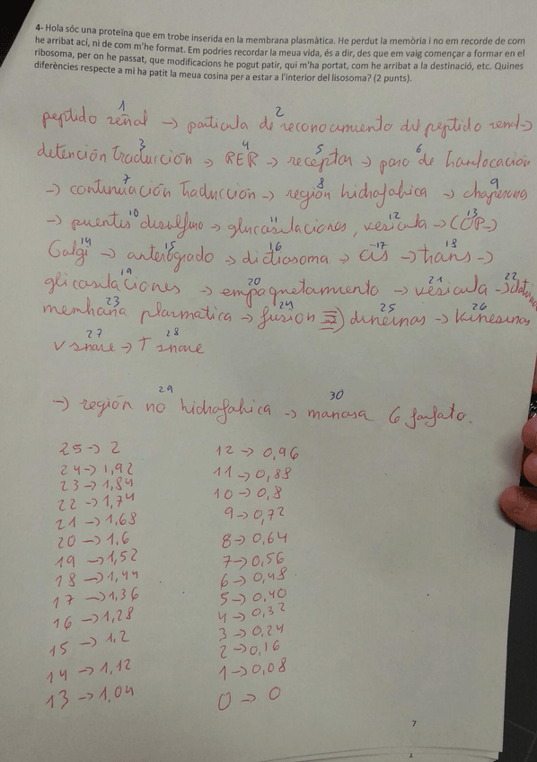 Miniatura del documento 7.jpg