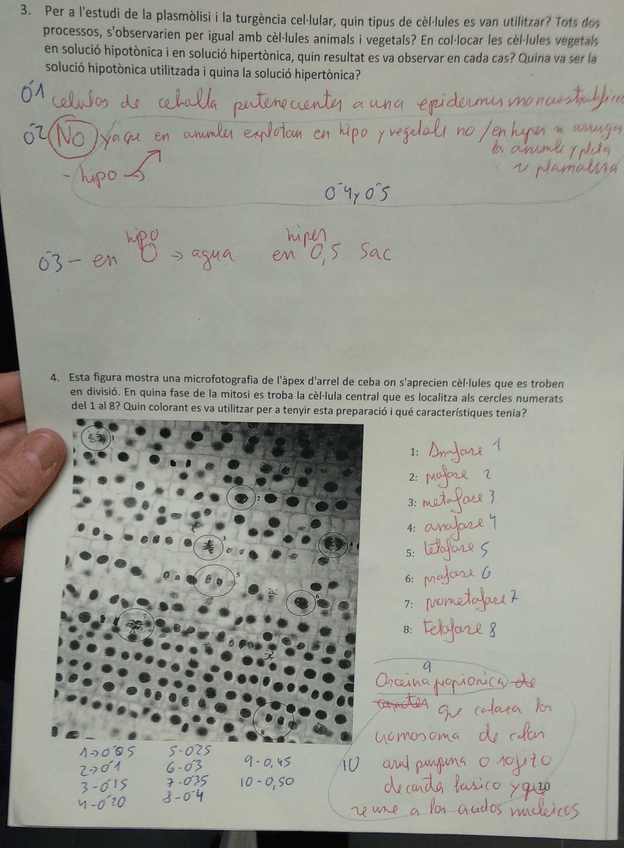 Miniatura del documento 10.jpg