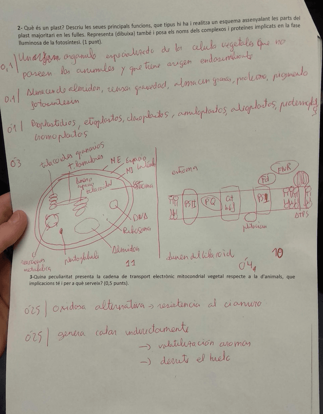 Miniatura del documento 6.jpg