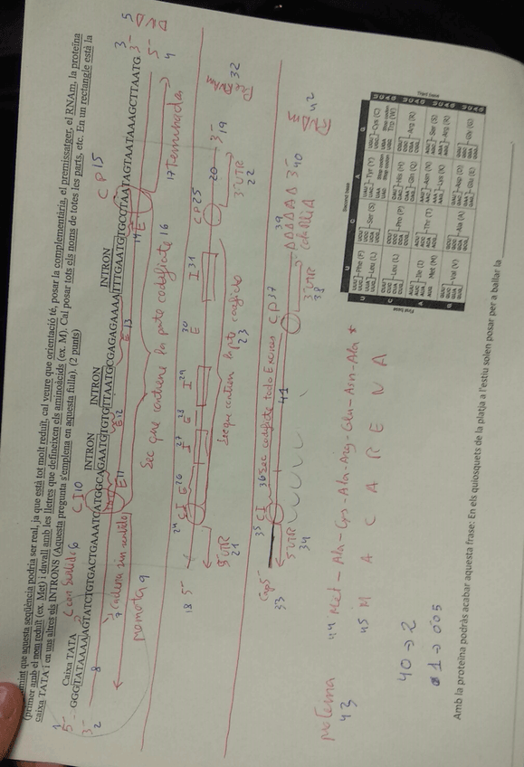 Miniatura del documento 8.jpg