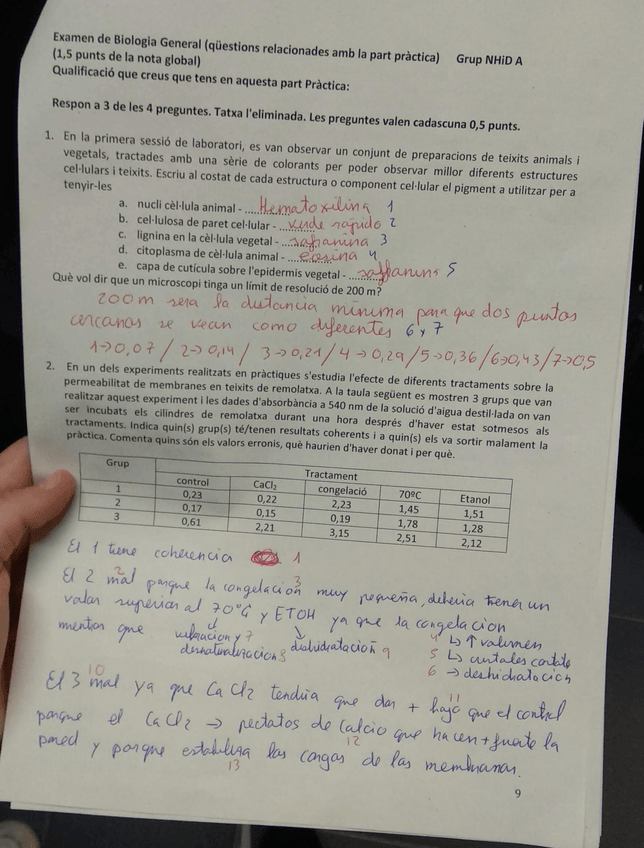 Miniatura del documento 9.jpg