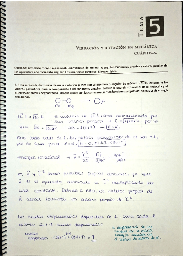 Miniatura del documento Seminario 5.pdf