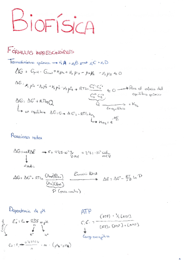 Miniatura del documento Formulario.pdf
