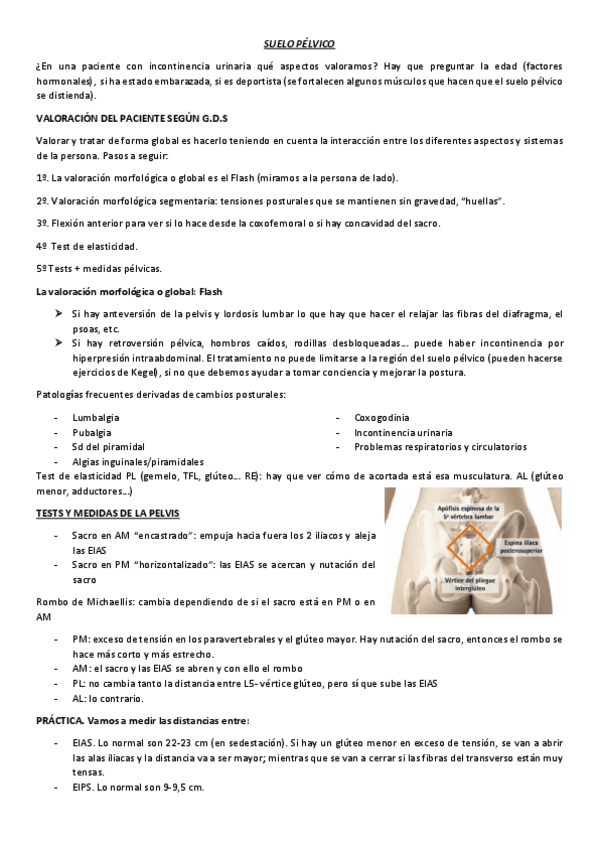 Miniatura del documento SUELO-PELVICO.pdf