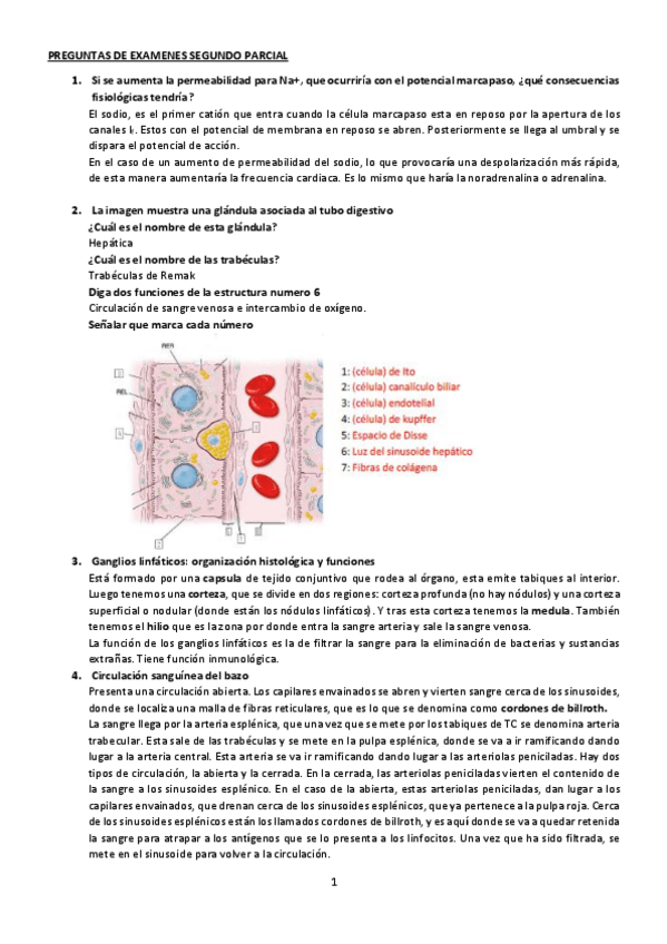 Miniatura del documento PREGUNTAS-DE-EXAMENES-SEGUNDO-PARCIAL-respondidas.pdf
