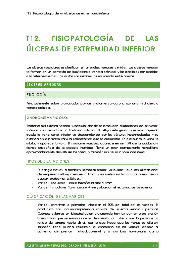 Miniatura del documento T12. Fisiopatología de las Úlceras de Extremidad Inferior AMR.pdf