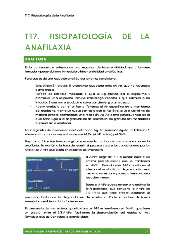 Miniatura del documento T17. Fisiopatología de la Anafilaxia AMR.pdf