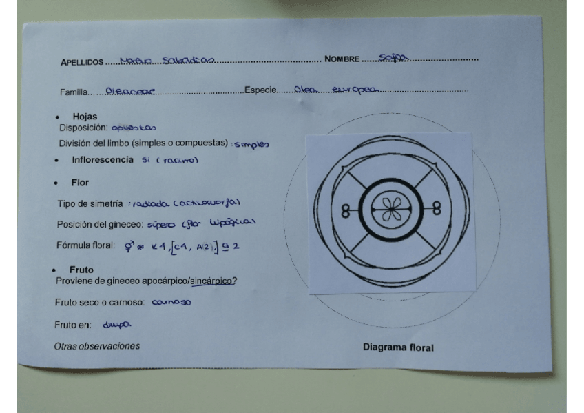 Miniatura del documento FICHAS HERBARIO 1.pdf