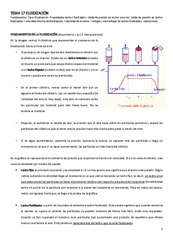 Miniatura del documento TEMA-17-FLUIDIZACION.pdf