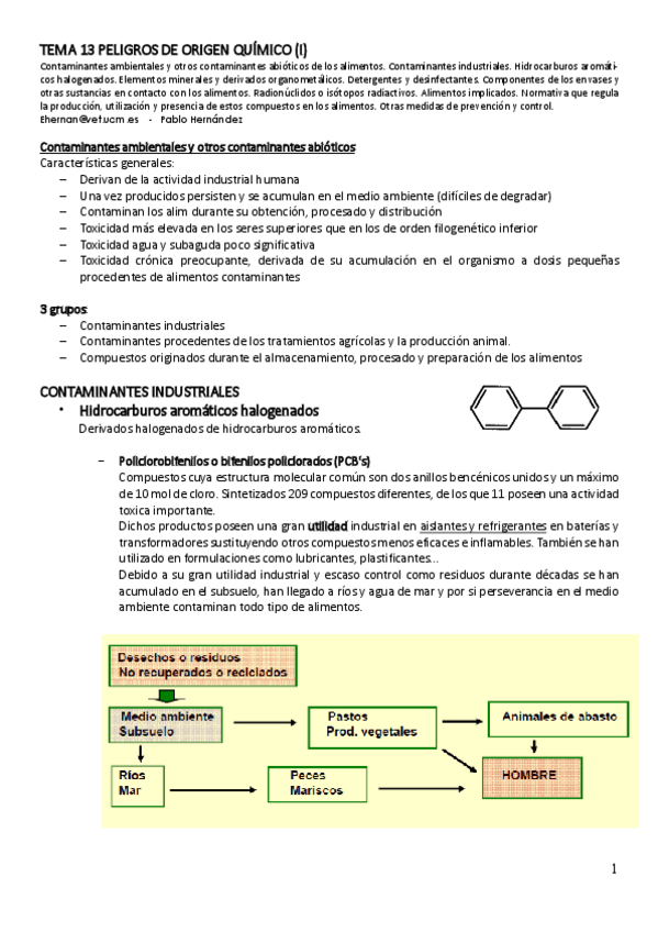 Miniatura del documento TEMA-13.pdf