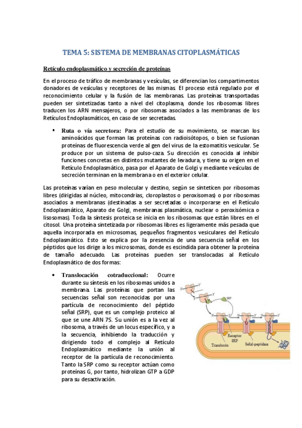 Miniatura del documento Tema 5. Biología.pdf
