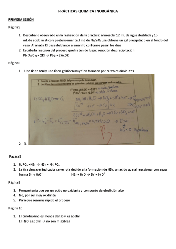 Miniatura del documento Practicas Quimica Inorganica.pdf