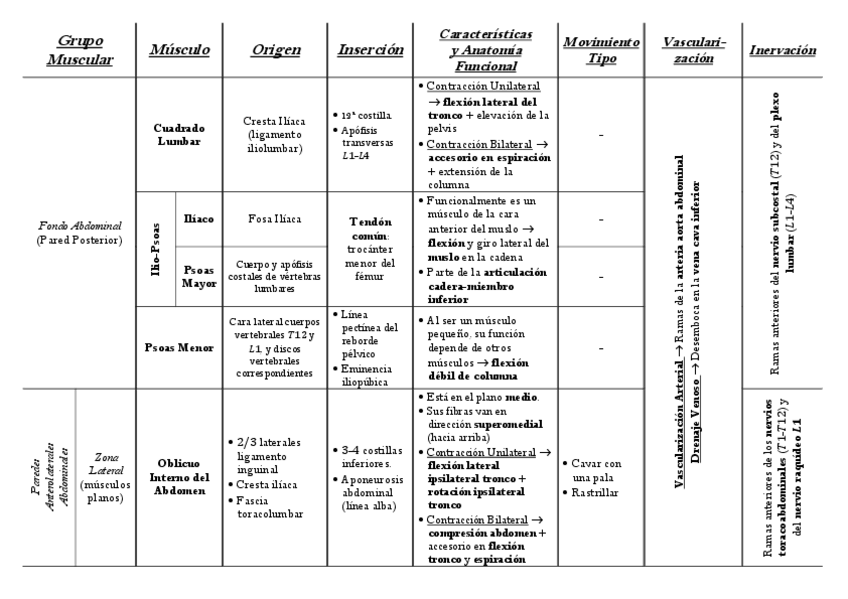 Miniatura del documento Tabla-Musculatura-Abdominal.pdf