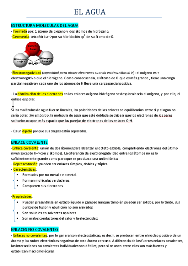 Miniatura del documento TEMA 2 EL AGUA.pdf