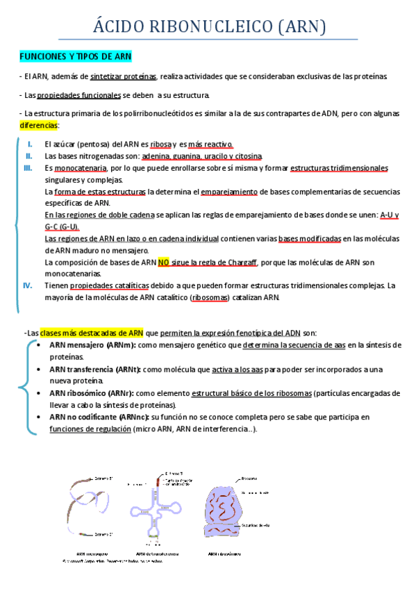 Miniatura del documento TEMA 6 ARN.pdf