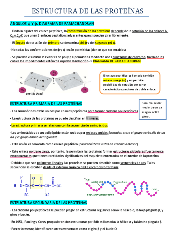 Miniatura del documento TEMA 8 ESTRUCTURA DE LAS PROTEÍNAS.pdf