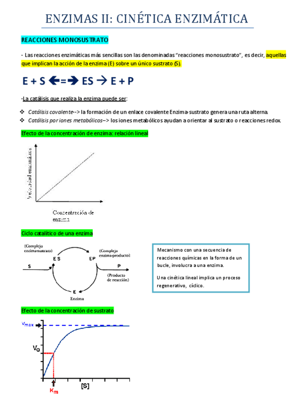Miniatura del documento TEMA 10 ENZIMAS II.pdf