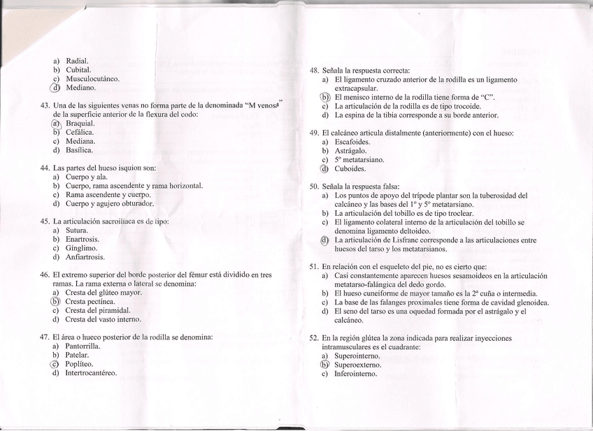 Miniatura del documento pag5anatomia.jpg